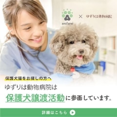 ゆずりは動物病院は保護犬譲渡活動に参画しています。